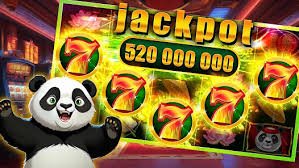 55993bet