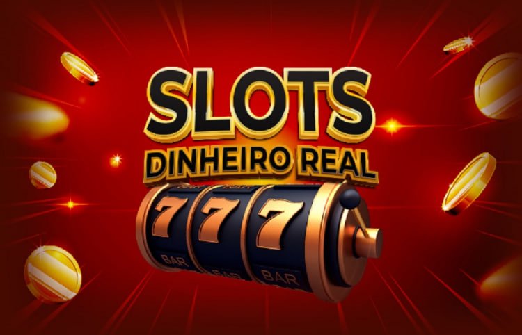 55993bet