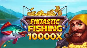 55993bet