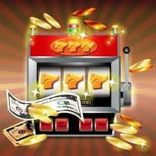 55993bet
