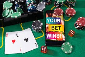 55993bet